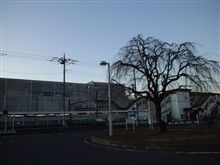 定点観測12/31(土)