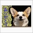 みんな・・ありがとう。。。