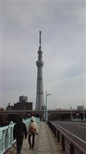 新年のご挨拶。。 新年のご挨拶。。