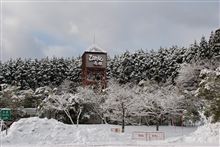 毎年恒例　年忘れの旅　『中国へ』
