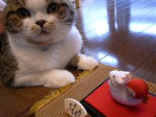 本日の「ちょび」・・・ちょびの謹賀新年♪