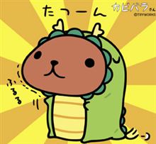 ２０１２始動！