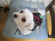 カットしました