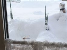 ２０１２、今年もよろしくお願いいたします