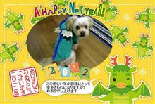 あけましておめでとうございます