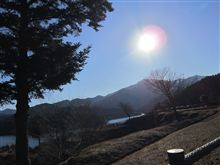一年の計は 一年の計は