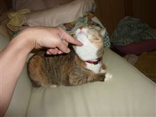 連休の最終日
