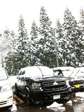 雪とアバヲ。 雪とアバヲ。