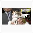 猫の秘密　其の48
