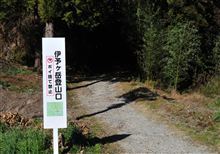 またまた、お山登りしてきました。