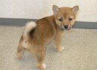 今月はおっさんに優しくする月？