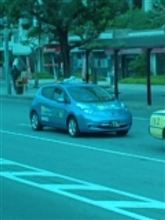 Leaf taxi
