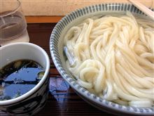 今年の初UDON