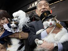 可愛いですね・・・