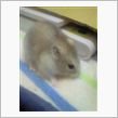 １月過ぎたら２年半年のプリン ...