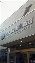 沼津港深海魚水族館に行ってきました~ 沼津港深海魚水族館に行ってきました~