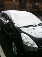 雪だぁぁぁ！