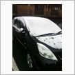雪だぁぁぁ！