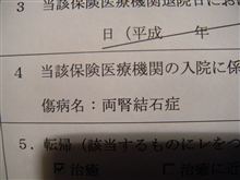 ★私の入院原因、結石とスカリエッティとの因果関係・・・横Ｇ・・・？★