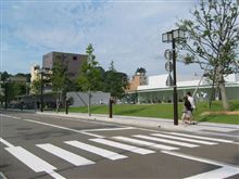 横断歩道の落とし穴②