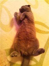 丸見えですょーぅ!!