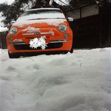 かまくら作りに来ませんか？