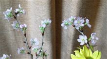 冬の桜