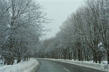 せせらぎ街道・雪景色