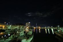 夜撮動画