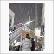雪だ…(゜Д゜；≡；゜Д゜)