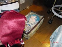あたしって、ほんとハコ