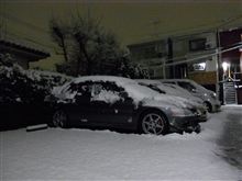 今日の雪