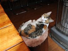 次の目標は『目指せ!-25kg』(290回目) 次の目標は『目指せ!-25kg』(290回目)
