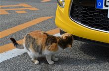 おフランスのちょっとアバンギャルドな匂いに魅せられて