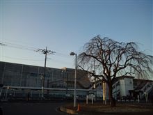 定点観測2/1(水)
