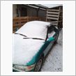今年も雪が…