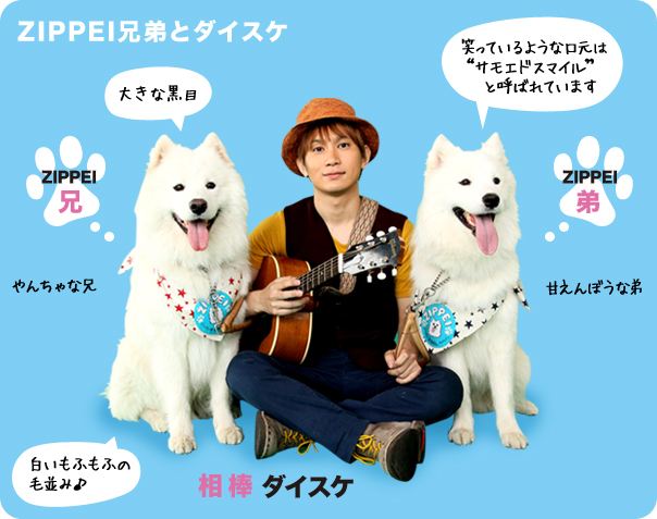 日テレ Zip 人気旅犬zippei声帯除去されていた Nobe2のブログ 新 自動車 単車舘 みんカラ