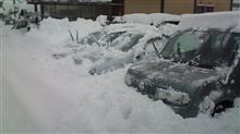 Ｏｈ！雪！！