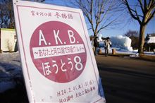 【画像多め】西湖樹氷まつりを撮りに
