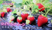 栃木県はこんなトコ vol.15