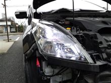 やっと居なくなりやしたｗ 