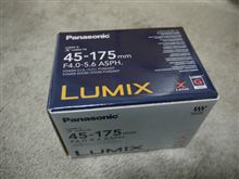 LUMIX DMC-GF3X-W ？