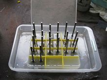 バルブ20個を入浴させてみた