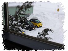 ちっちゃいのが仲良く雪の中(^・^)