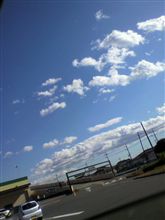 地産地消はドレスアップもね 地産地消はドレスアップもね