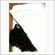 犬もコタツで丸くなる
