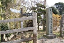 箱根紀行　＜山中城跡、箱根関所、箱根旧街道、創業400年甘酒茶屋 ＞