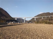 今日のテクテク♪