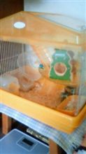 ココロノスキマ