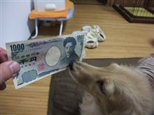 1000エン弄り…